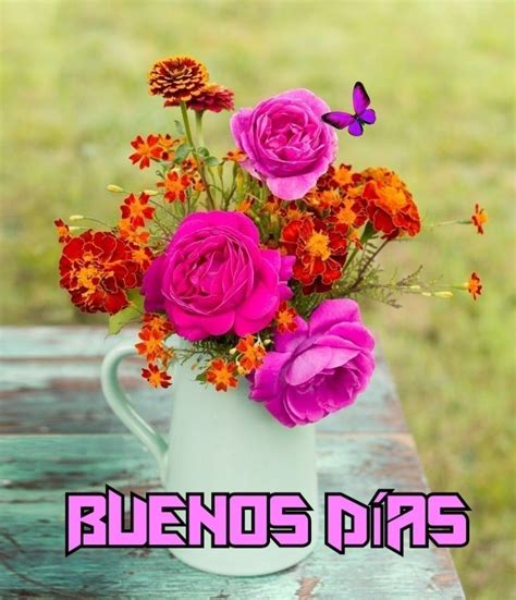 buen dia flowers.